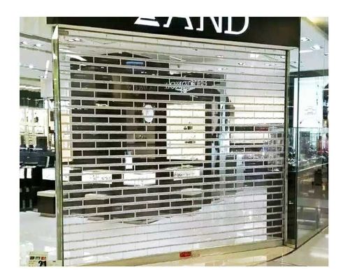 Modern Clear Shutter Polycarbonate Roller Door Finished 6m Height Stainless Steel